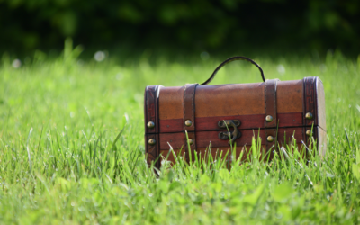 Treasure in the backyard