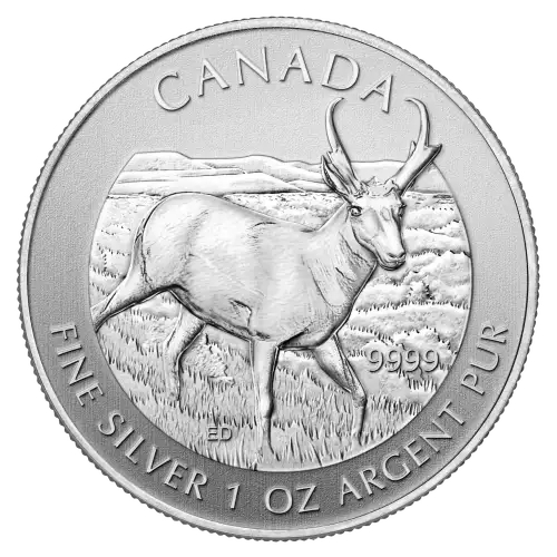 加拿大皇家鑄幣局野生動物系列 1 盎司pronghorn 羚羊銀幣，描繪一隻pronghorn 羚羊站在草叢中，面向右方。